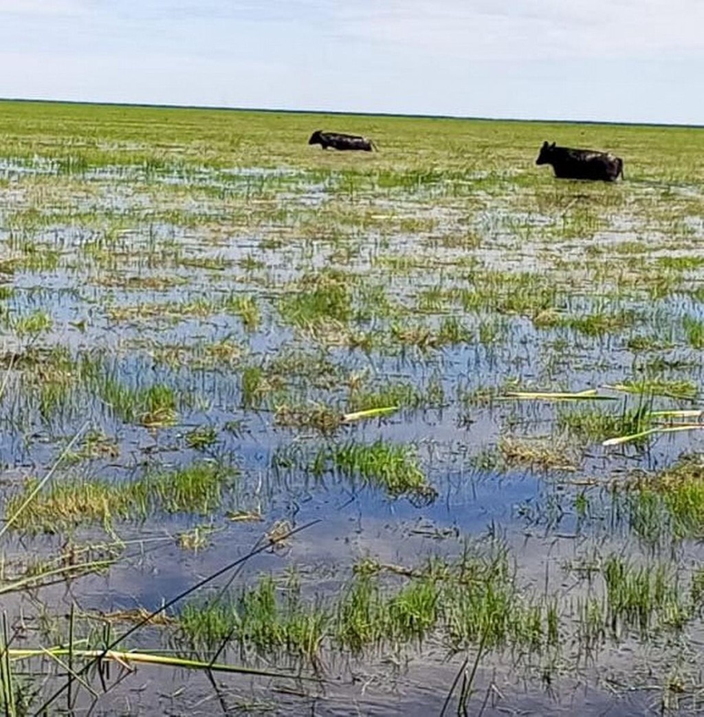 Vera: campos bajo el agua desde abril y productores en alerta por la llegada del Ni&ntilde;o