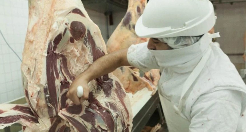 Los frigor&iacute;ficos santafesinos defendieron el IPCVA y pidieron preservar el aporte obligatorio