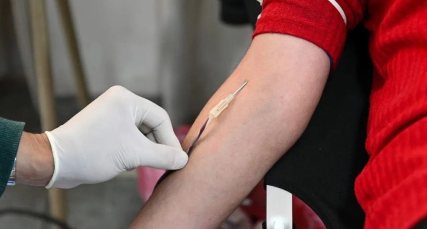Donar sangre lleva apenas 20 minutos: cu&aacute;les son los requisitos y los mitos m&aacute;s comunes