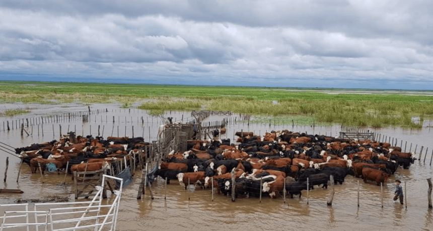 &ldquo;Ropeca&rdquo;: Santa Fe lanz&oacute; una herramienta digital para prevenir el impacto de El Ni&ntilde;o