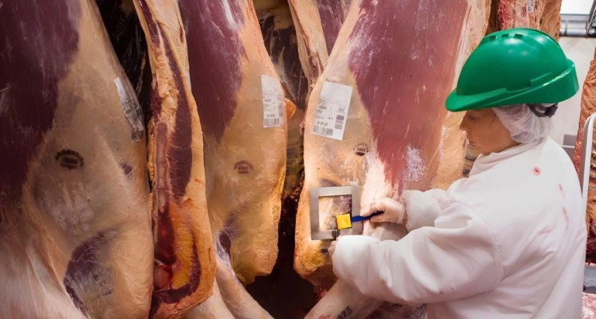 Limangus suma otro Block Test y va por m&aacute;s presencia en el norte santafesino