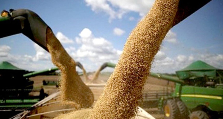 La soja supera los $500.000, le gana a la inflaci&oacute;n y activa las ventas de los productores