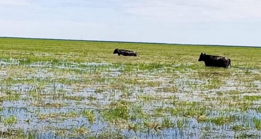 Vera: campos bajo el agua desde abril y productores en alerta por la llegada del Ni&ntilde;o