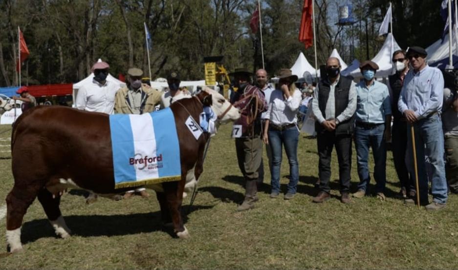 Las 3 razas más influyentes en la ganadería del norte argentino se dan cita esta semana en Santiago