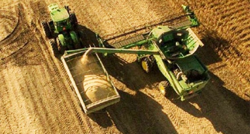 La soja subió hasta U$S 27, después de difundirse el informe de septiembre del USDA