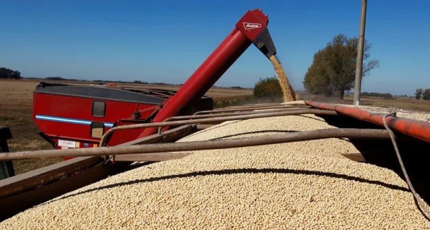 Dólar soja: productores ya vendieron casi 8 millones de toneladas de granos