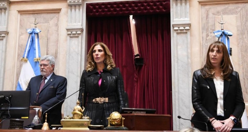 La senadora Zamora presidió la sesión en la que el Senado dio media sanción a la ampliación e integración igualitaria de la Corte Suprema