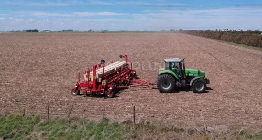  Las lluvias no alcanzan y el maíz le cede hectáreas a la soja