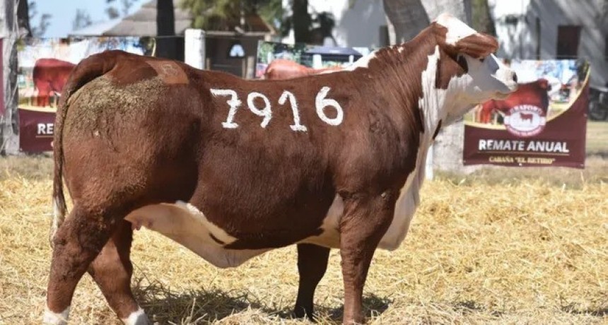 Cabañeros santafesinos a la vanguardia en precios