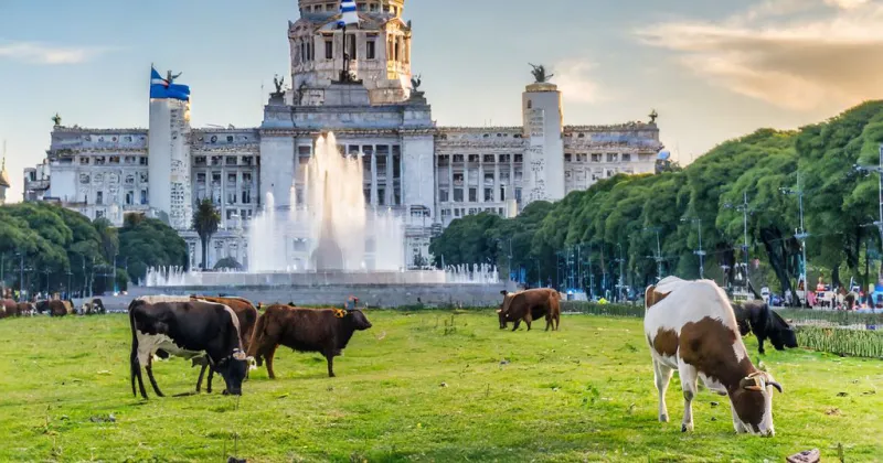 Los proyectos clave para el sector agropecuario que se debatirán en el Congreso 