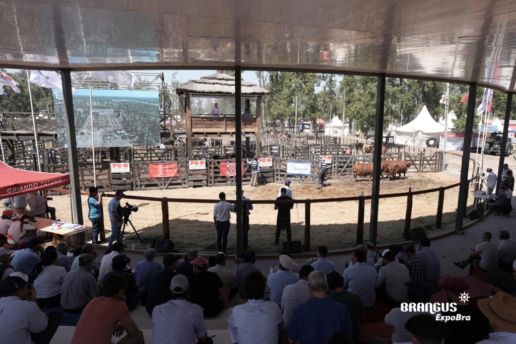 En ExpoBRA 2024 se mostró el sólido trabajo de los cabañeros