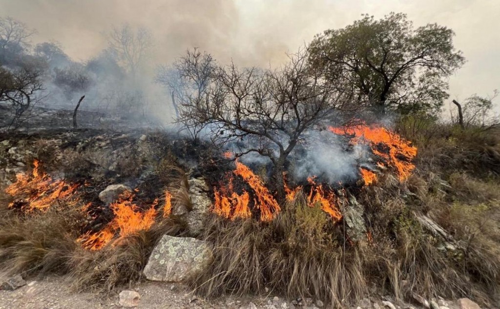 Un experto explica qué es el contrafuego: en qué momento y cómo se utiliza