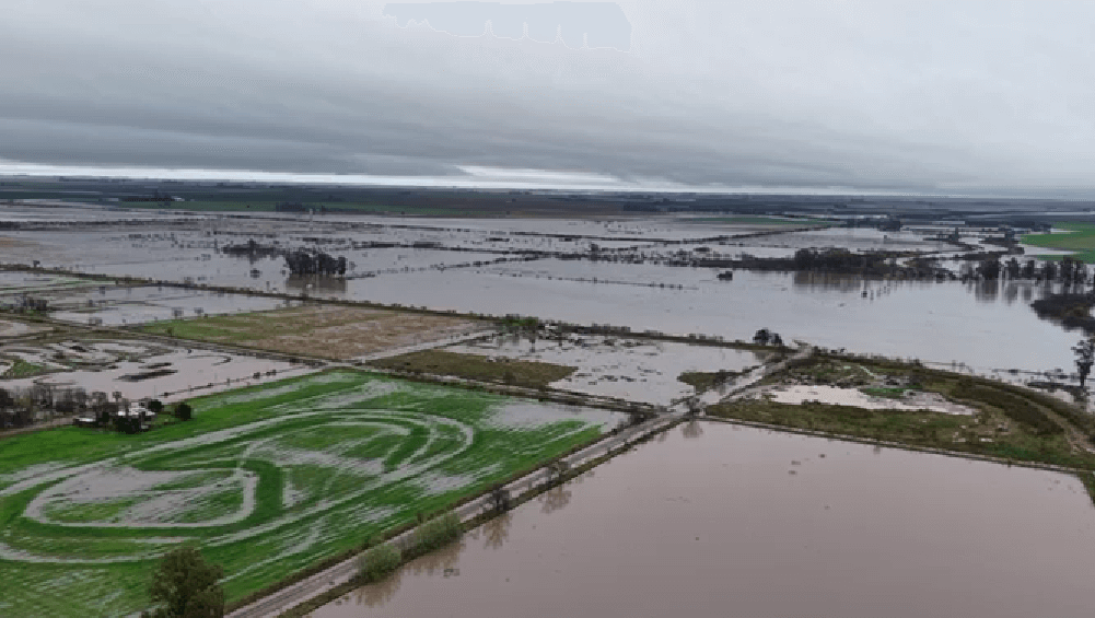Lluvias de hasta 300 mm: la Tormenta de Santa Rosa tuvo un impacto fuerte e inédito en la historia