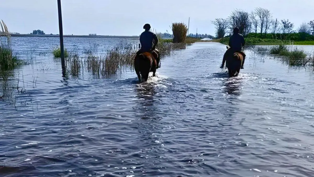 Reclamos del campo tras las lluvias: CRA advierte por la falta de infraestructura en la zona núcleo