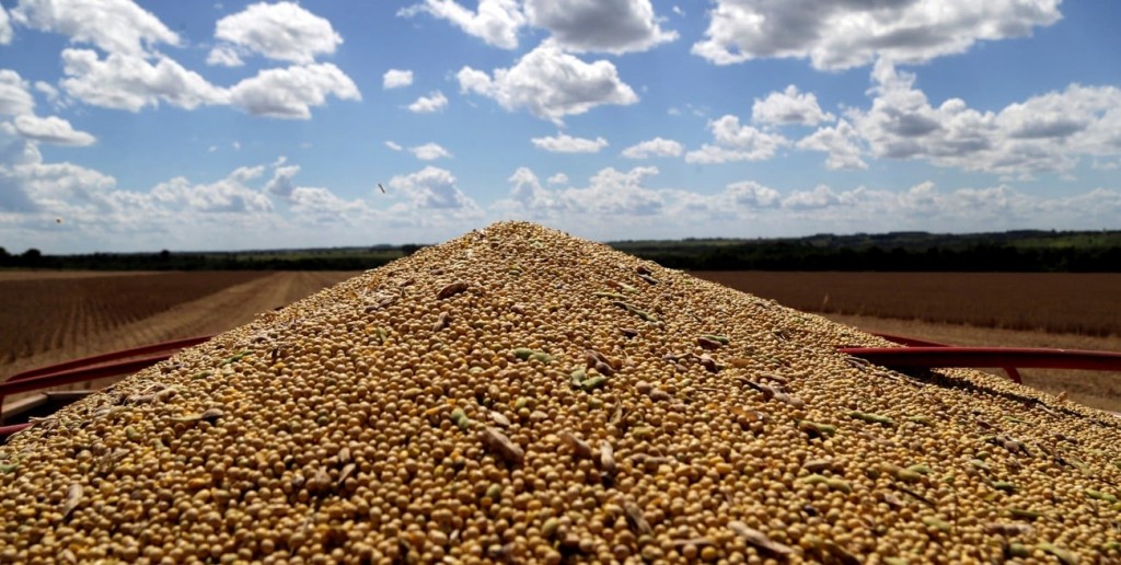 La eliminación de retenciones genera alivio en el campo, pero persisten las dudas a futuro