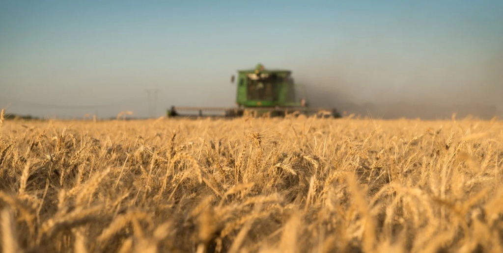 Sin retenciones hasta octubre: Corredores de Cereales valoran la medida