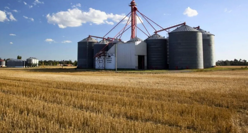 Mercado de granos: récord de operaciones tras la suspensión de derechos de exportación