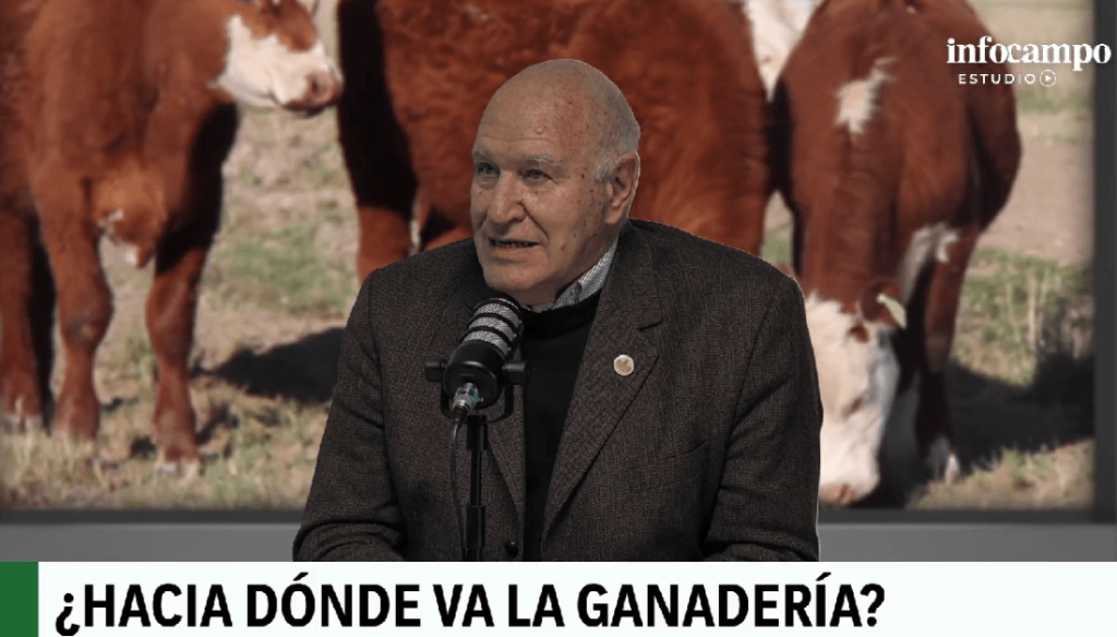 V&iacute;ctor Tonelli: &ldquo;La carne vacuna es cara y debe ser cara; no tiene otra forma de subsistir&rdquo;