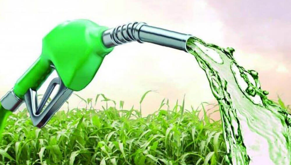 Presi&oacute;n desde el agro para el Senado: piden el tratamiento urgente de la Ley de Biocombustibles