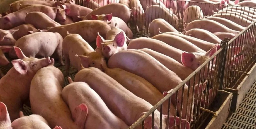 Cr&eacute;ditos en Valor Producto: ya se aprobaron m&aacute;s de $67.000 millones para 440 productores