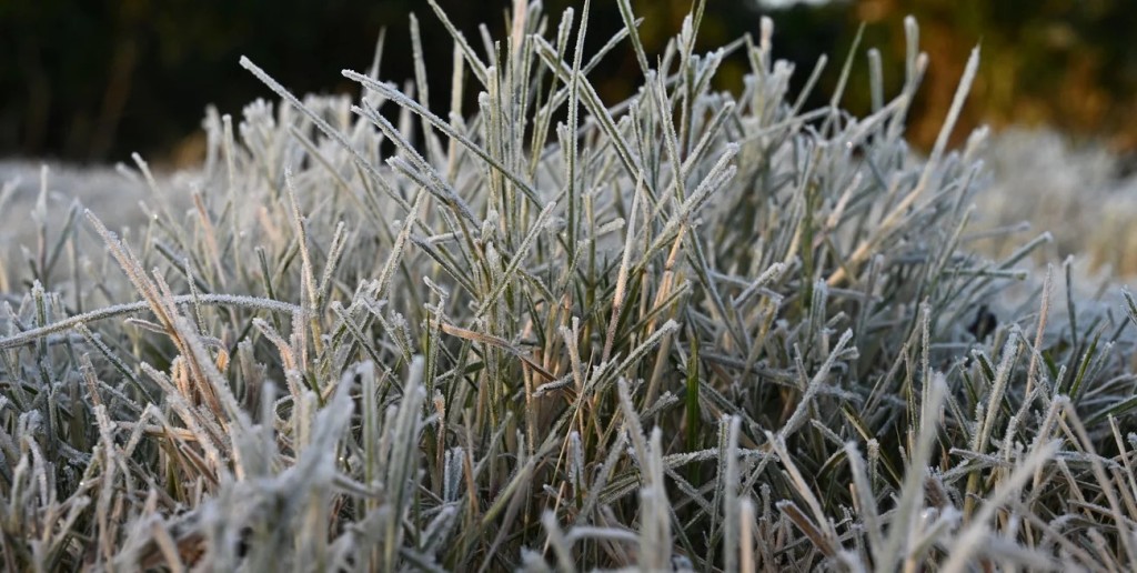 Del calor a las heladas y otra vez al calor: as&iacute; ser&aacute; la evoluci&oacute;n del tiempo en el &aacute;rea agr&iacute;cola santafesina