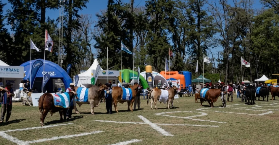 ExpoBRA 2026: gen&eacute;tica y eficiencia, las claves de la ganader&iacute;a en Santiago del Estero