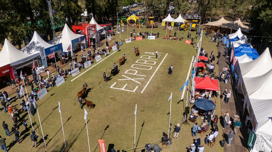 ExpoBRA 2026: evoluci&oacute;n gen&eacute;tica y adaptaci&oacute;n marcaron la jura de hembras 