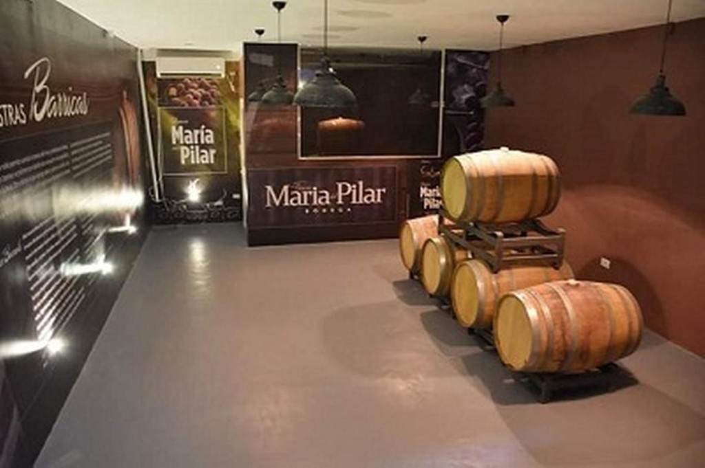 Vinos en Santiago del Estero: la "locura" familiar que impuls&oacute; el renacimiento vitivin&iacute;cola regional