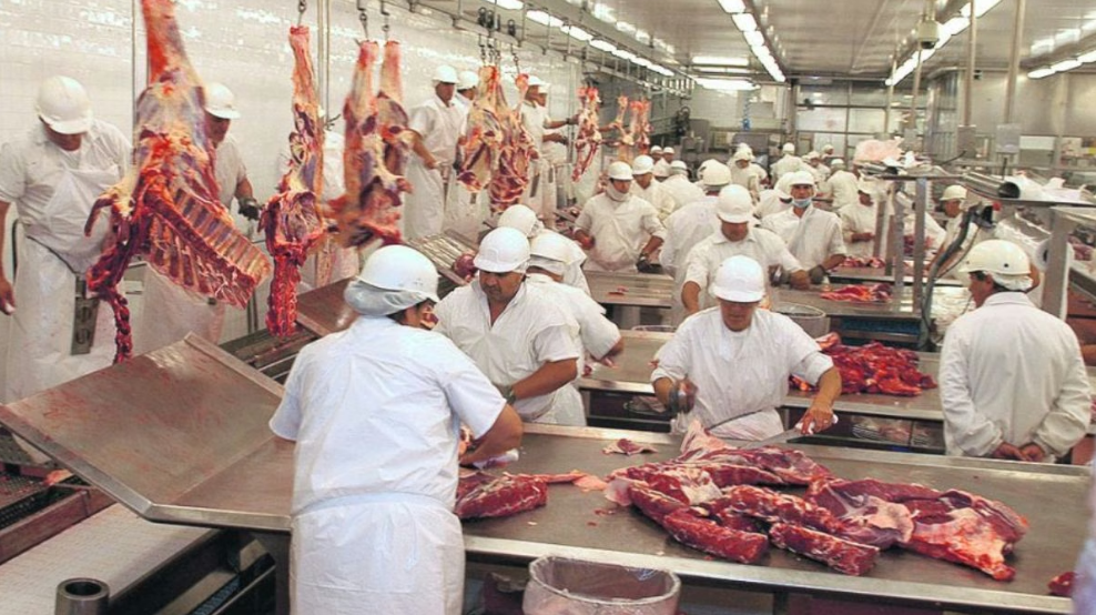 Frigor&iacute;ficos en crisis: la faena en Santa Fe cay&oacute; un 10% en el primer semestre y se reducen las horas de trabajo