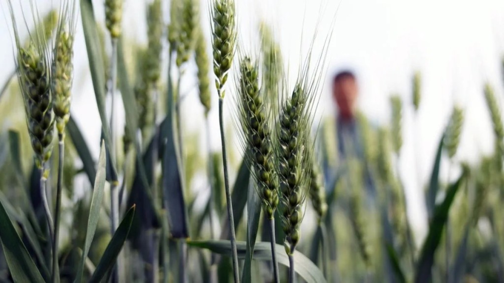 &Iacute;ndice FADA: los impuestos se siguen llevando m&aacute;s de la mitad de la renta agr&iacute;cola
