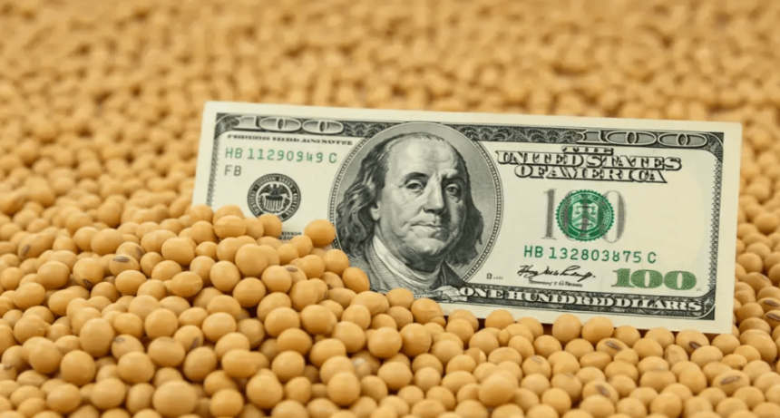Petr&oacute;leo, China y sequ&iacute;a: la soja escala sin freno en Chicago y se acerca a los U$S 500