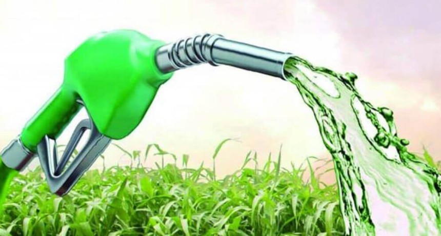 Presi&oacute;n desde el agro para el Senado: piden el tratamiento urgente de la Ley de Biocombustibles