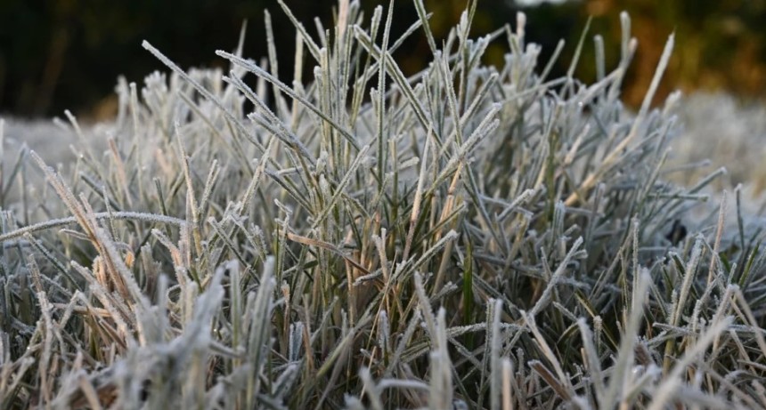 Del calor a las heladas y otra vez al calor: as&iacute; ser&aacute; la evoluci&oacute;n del tiempo en el &aacute;rea agr&iacute;cola santafesina