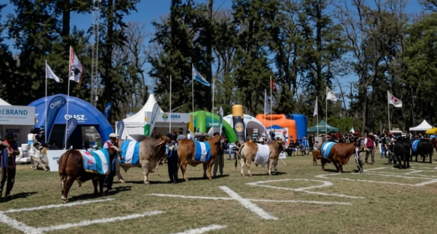 ExpoBRA 2026: gen&eacute;tica y eficiencia, las claves de la ganader&iacute;a en Santiago del Estero
