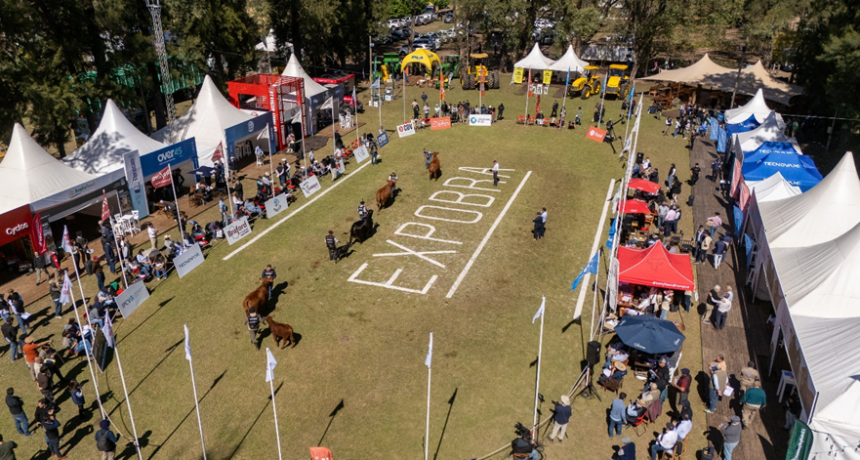 ExpoBRA 2026: evoluci&oacute;n gen&eacute;tica y adaptaci&oacute;n marcaron la jura de hembras 