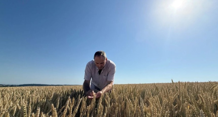 Productores argentinos duplican en optimismo a los de Estados Unidos sobre el futuro del agro