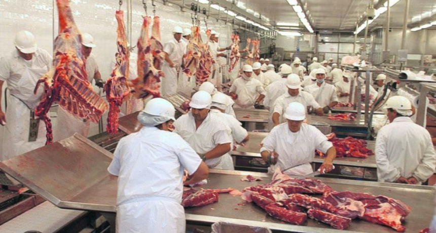 Frigor&iacute;ficos en crisis: la faena en Santa Fe cay&oacute; un 10% en el primer semestre y se reducen las horas de trabajo