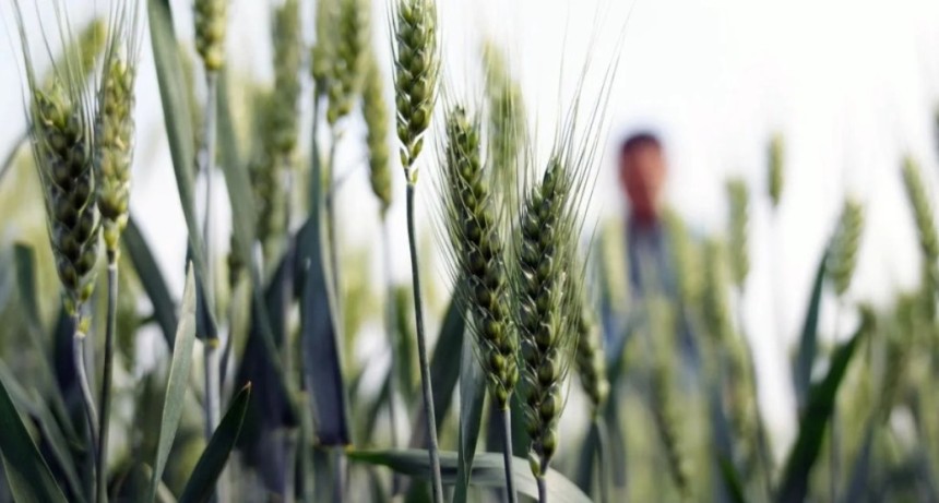 &Iacute;ndice FADA: los impuestos se siguen llevando m&aacute;s de la mitad de la renta agr&iacute;cola