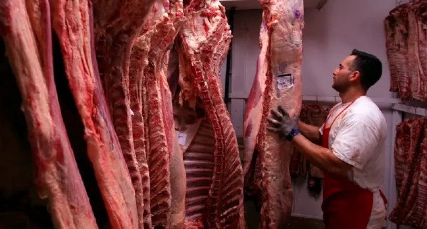 Frigoríficos de la Región Centro anunciaron un paro por el troceo