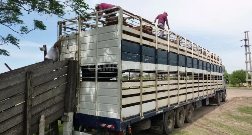 Emergencia por Sequía: media sanción para diferir impuestos al transporte de cargas del agro