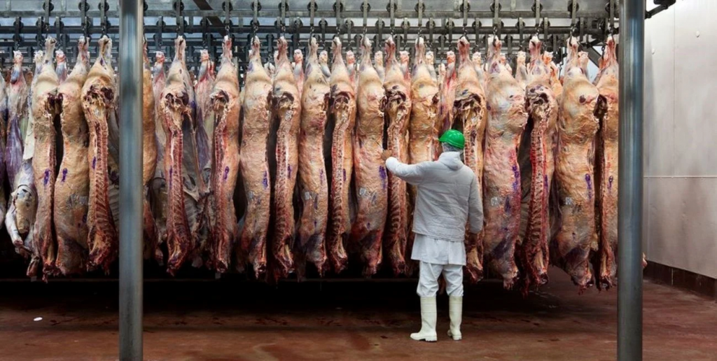 La Cámara Argentino-China proyecta más negocios para la carne argentina