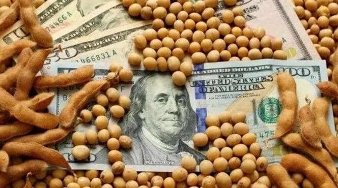 ¿Menos retenciones en 2026?: la soja se está pagando con una alícuota implícita de entre 17% y 20%
