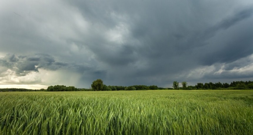 Volvió el invierno: avanza un frente frío, con riesgo de heladas que podrían afectar a los cultivos