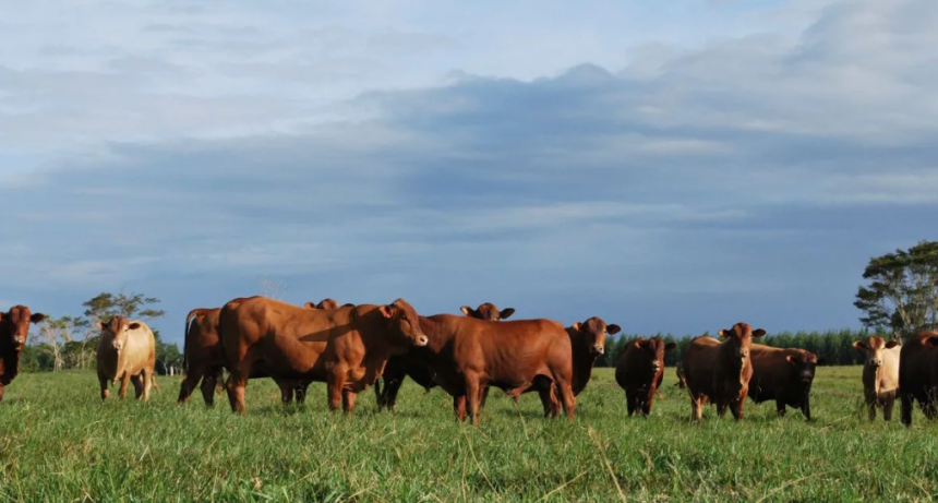 Víctor Tonelli: “La ganadería argentina entra en una nueva era y los próximos años serán extraordinarios»