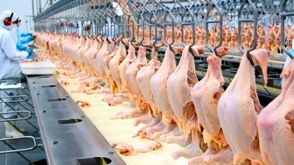 Carne de pollo: &iquest;el consumo r&eacute;cord se traduce en un mejor negocio para los productores?