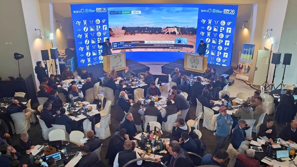 Rosgan celebra sus 18 a&ntilde;os con un remate aniversario junto al Banco Naci&oacute;n y Expoagro