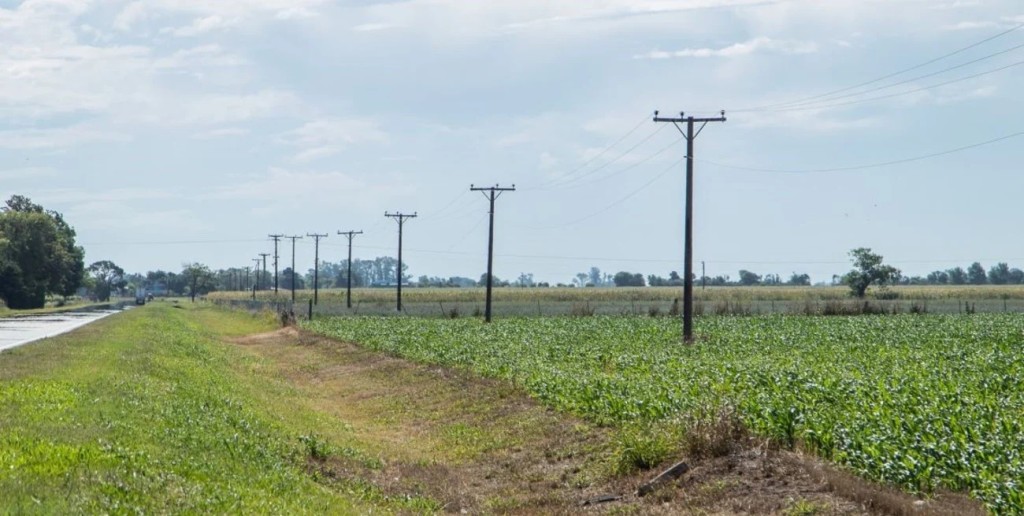 Invertir&aacute;n m&aacute;s de $1.035 millones para mejorar la infraestructura el&eacute;ctrica rural de San Justo