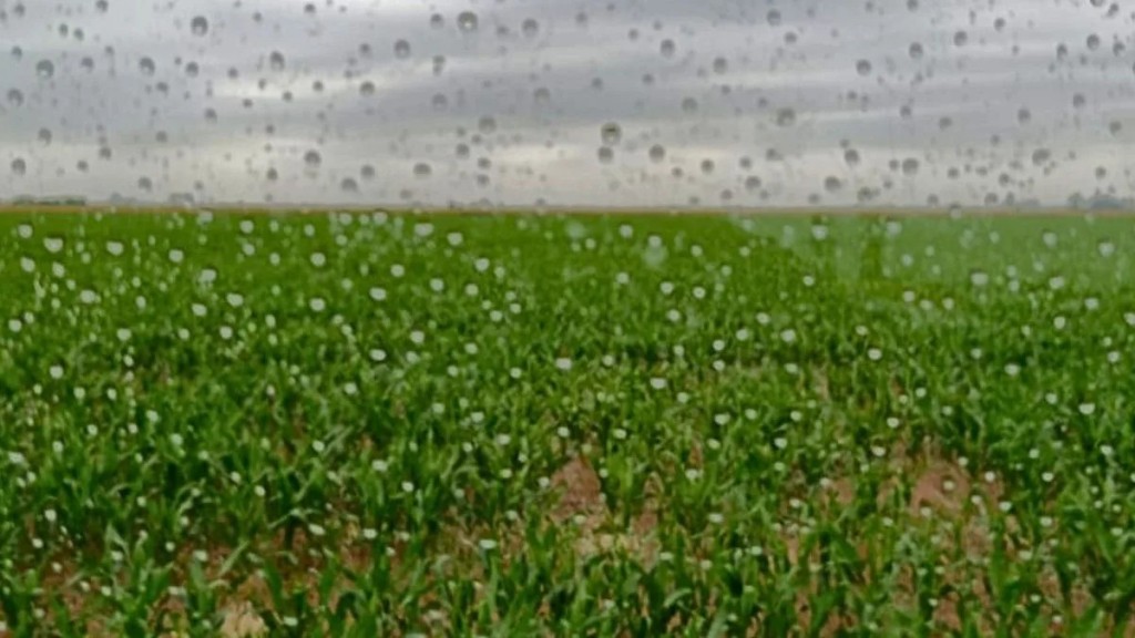 Al fin lleg&oacute; El Ni&ntilde;o a la regi&oacute;n n&uacute;cleo y cambian las proyecciones sobre su intensidad
