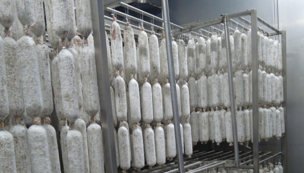 La gen&eacute;tica del salame: en Oncativo fortalecen una &uacute;nica raza porcina para mejorar sus chacinados