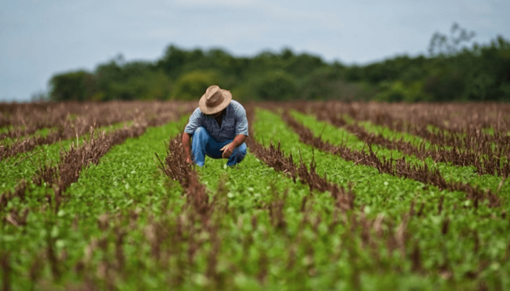 Estiman que, sin retenciones, el agro podr&iacute;a generar 850.000 puestos y reducir el desempleo a la mitad